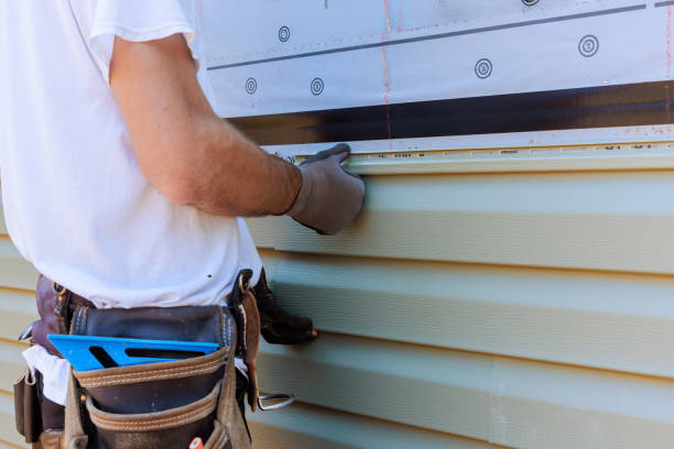 Best Custom Trim and Detailing for Siding  in Baldwyn, MS